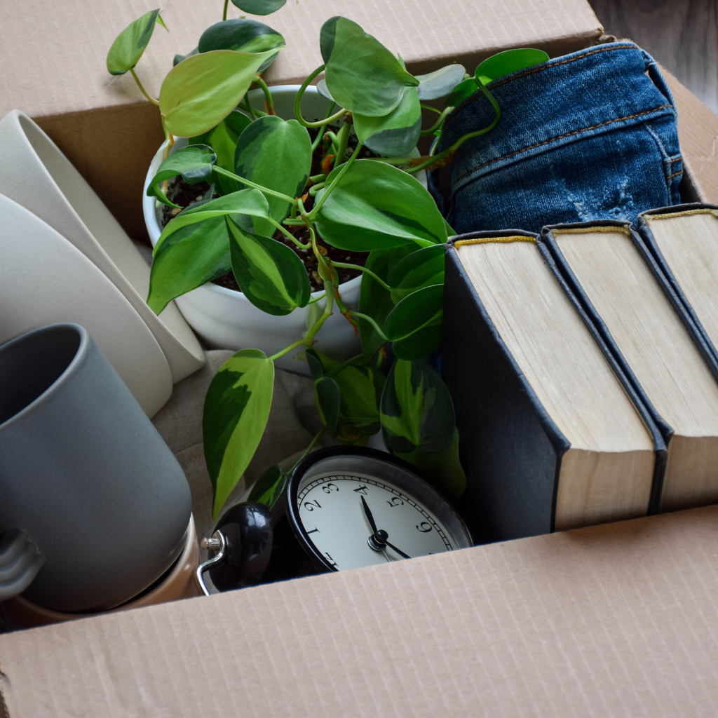 A cardboard box filled with a potted plant, folded jeans, stacked books, a gray mug, a white plate, and a small alarm clock. The items suggest moving or packing activities.